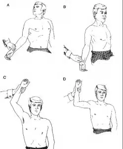 musculos escalenos como afectan al dolor cervical 1604378785 1604380631 11zon - Músculos escalenos. Cómo afectan al dolor cervical.