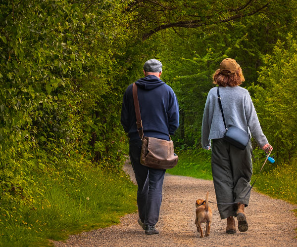 familia caminando bosque - Rosa o como no resignarse ante el dolor