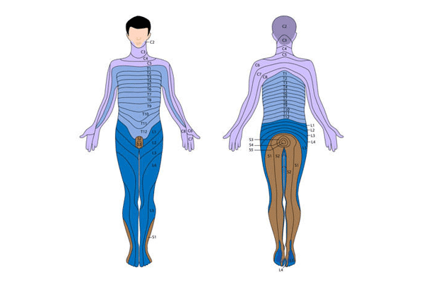 hernia discal l5 s1 diagnostico sintomas y tratamiento 1543211415 1543211979 - Hernia Discal L5-S1. Diagnóstico, Síntomas y Tratamiento.