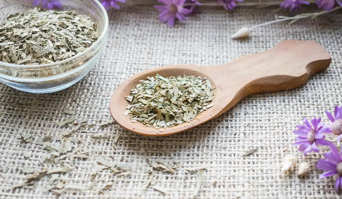 plantas medicinales para desinflamar lacolumna - Plantas medicinales para desinflamar la columna