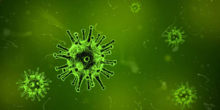 virus 1812092 1920.1526919997 - Infección tras Cirugía de Columna