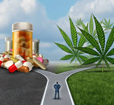 uso terapéutico del cannabis