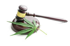 legalizacion del cannabis para el tratamiento del dolor de espalda