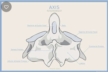 Qué es el axis