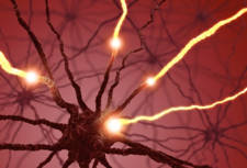 neurona transmitiendo dolor de espalda